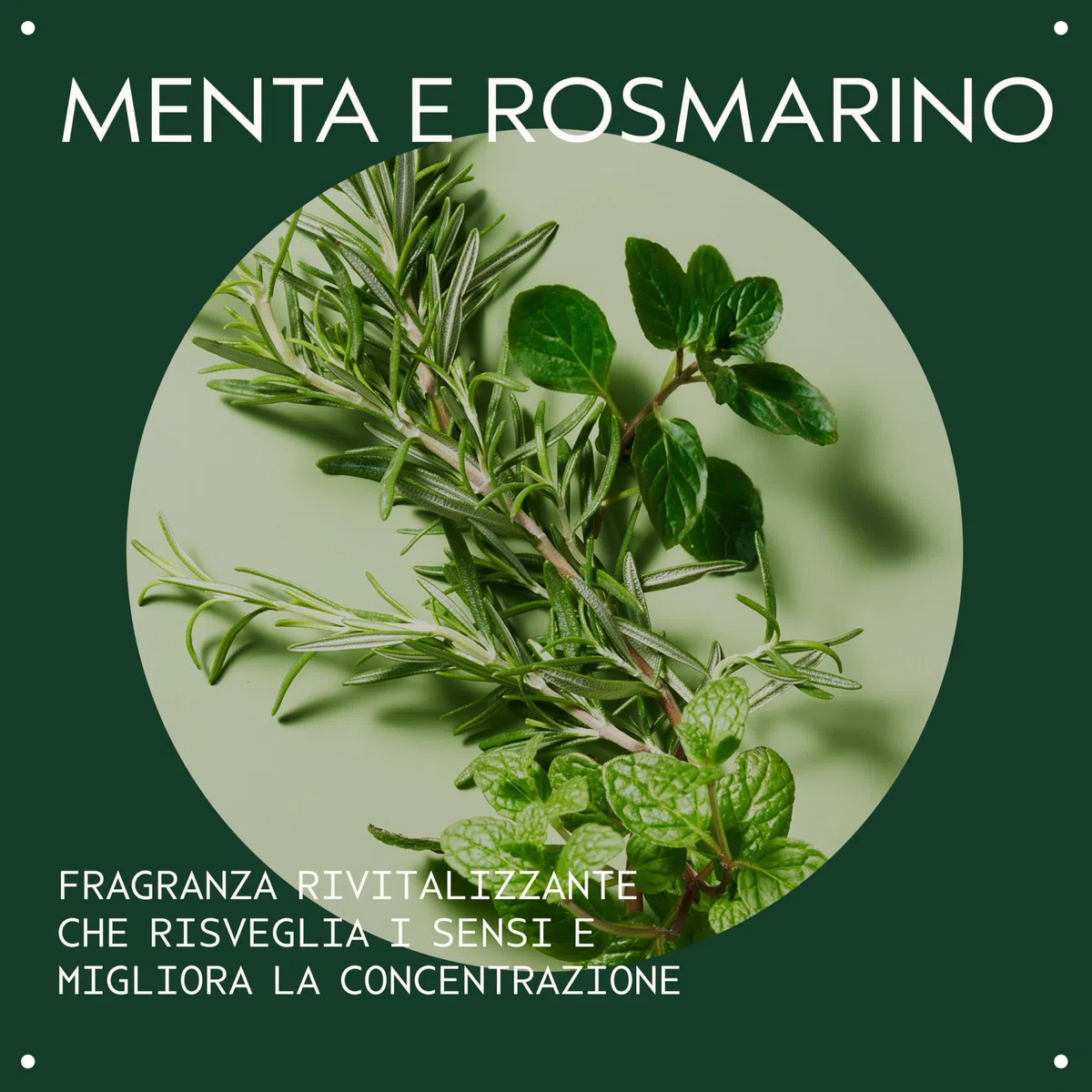 Aveda Rosemary Mint Shampoo Purificante - Shampoo detergente - Dona lucentezza - Per Capelli da Normali a Grassi e da Sottili a Medi