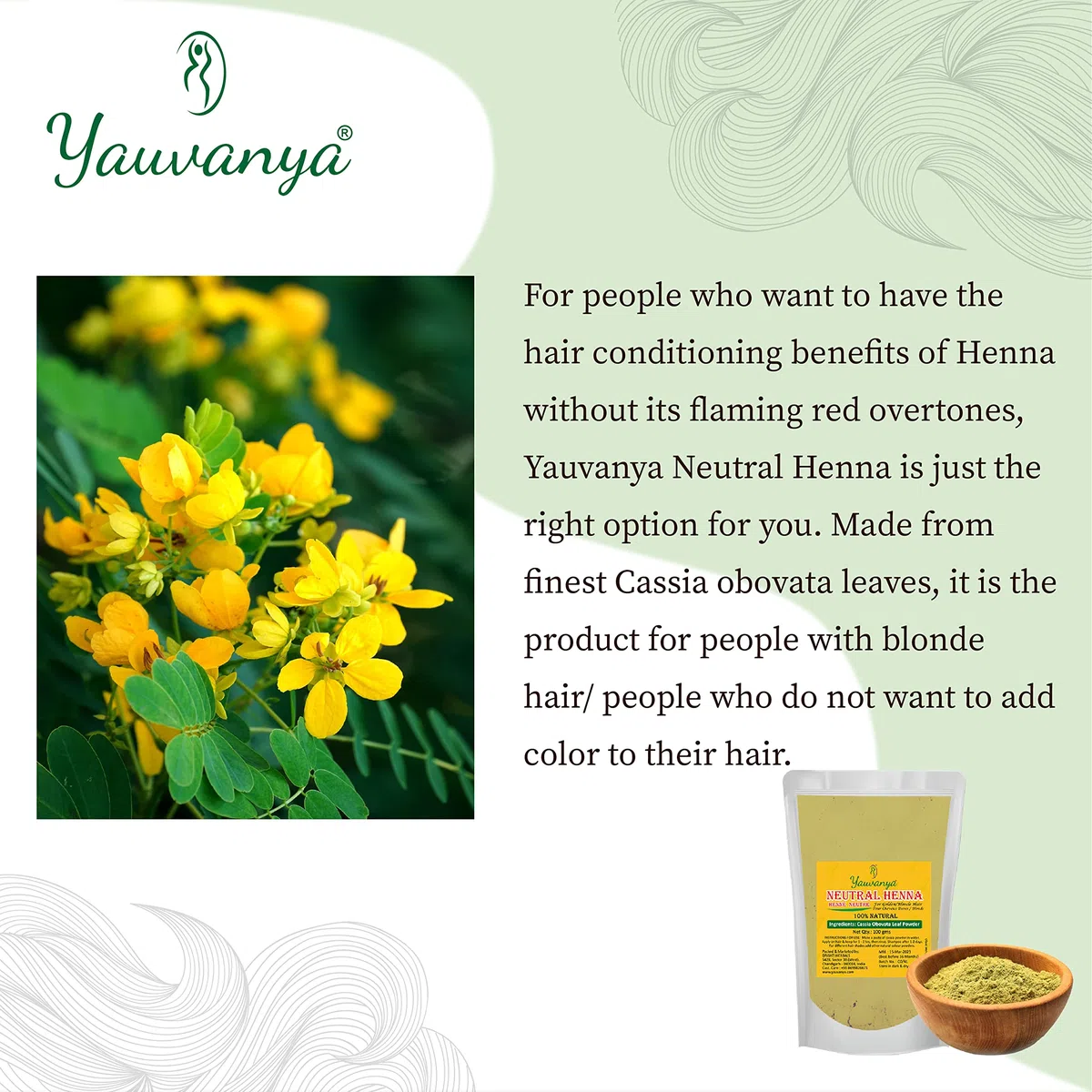 Polvere Yauvanya 100% pura di cassia (henné neutro) - 3X100 grammi per capelli biondi/dorati
