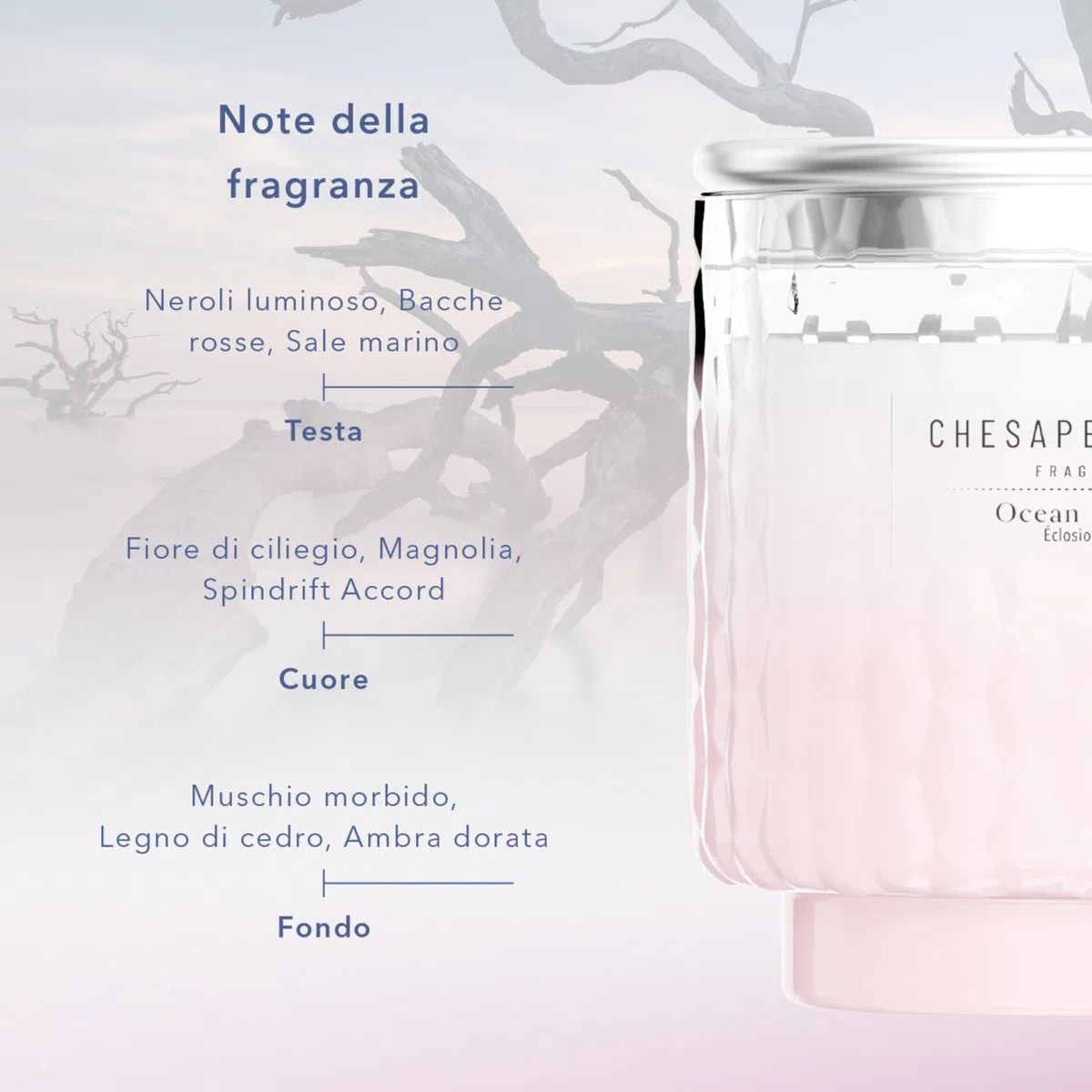 Chesapeake Bay | Diffusore a bastoncini | Ocean Blossom | Ottimo regalo per donne