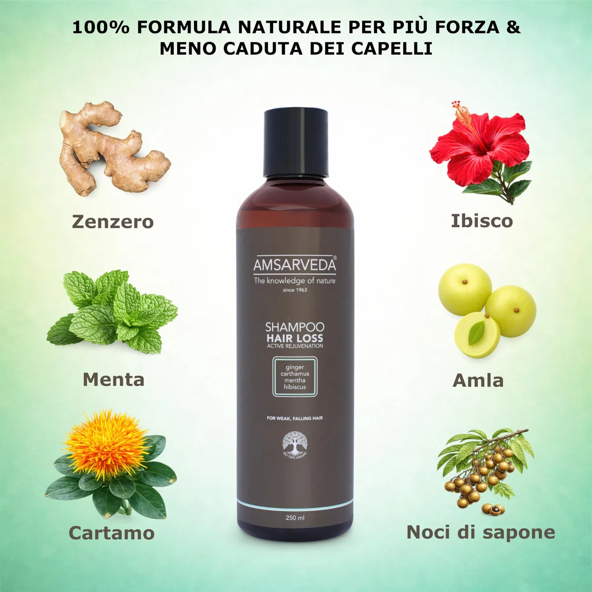Amsarveda Hair Loss Active Rejuvenation Shampoo – 100% naturale, ayurvedico, pulizia intensa, nutriente, senza parabeni e solfati, 250 ml