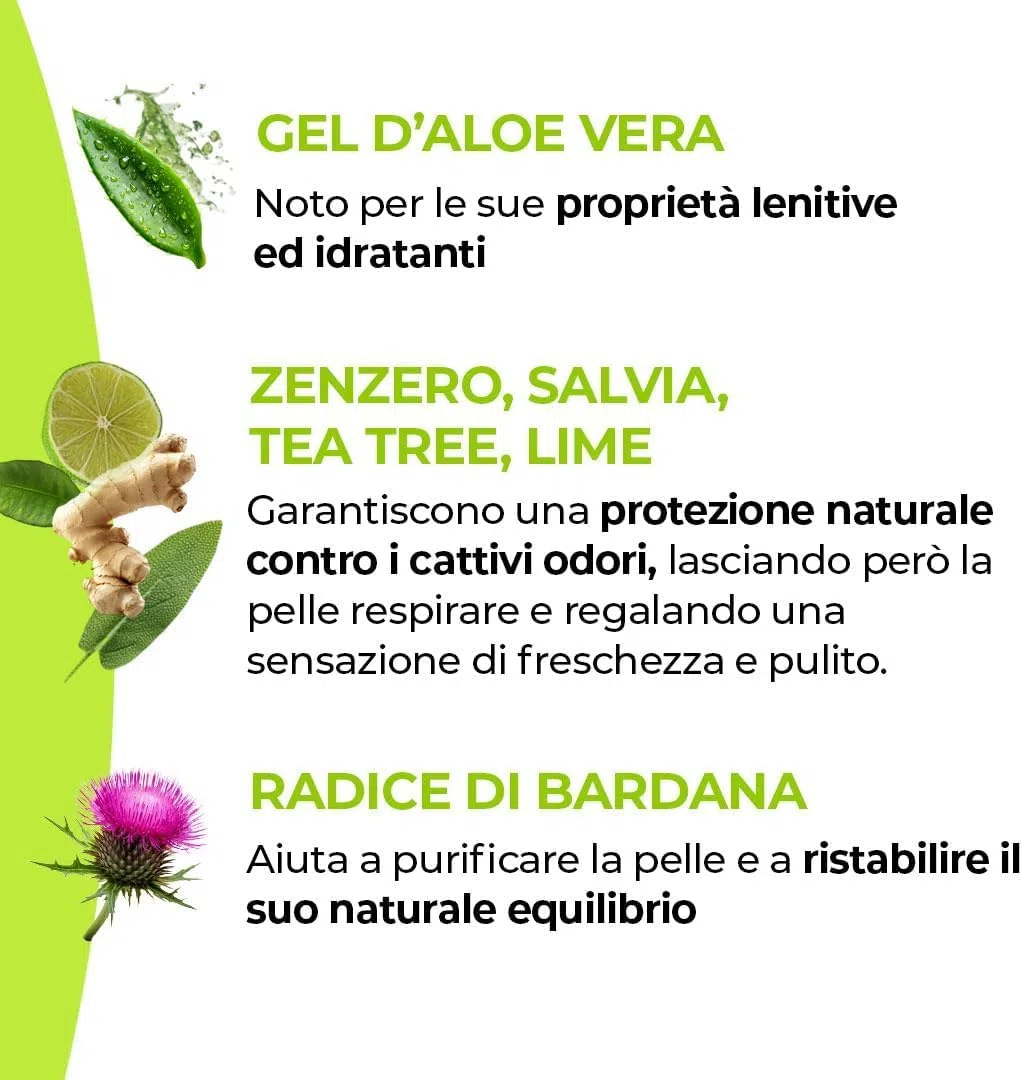 PURAMAX RESET – Kit Completo Igiene Ascelle | Sapone Vegetale 100g + Deodorante Roll-on Naturale 50ml | Protocollo Detergente e Protezione | Tea Tree, Zenzero e Lime | Made in Italy