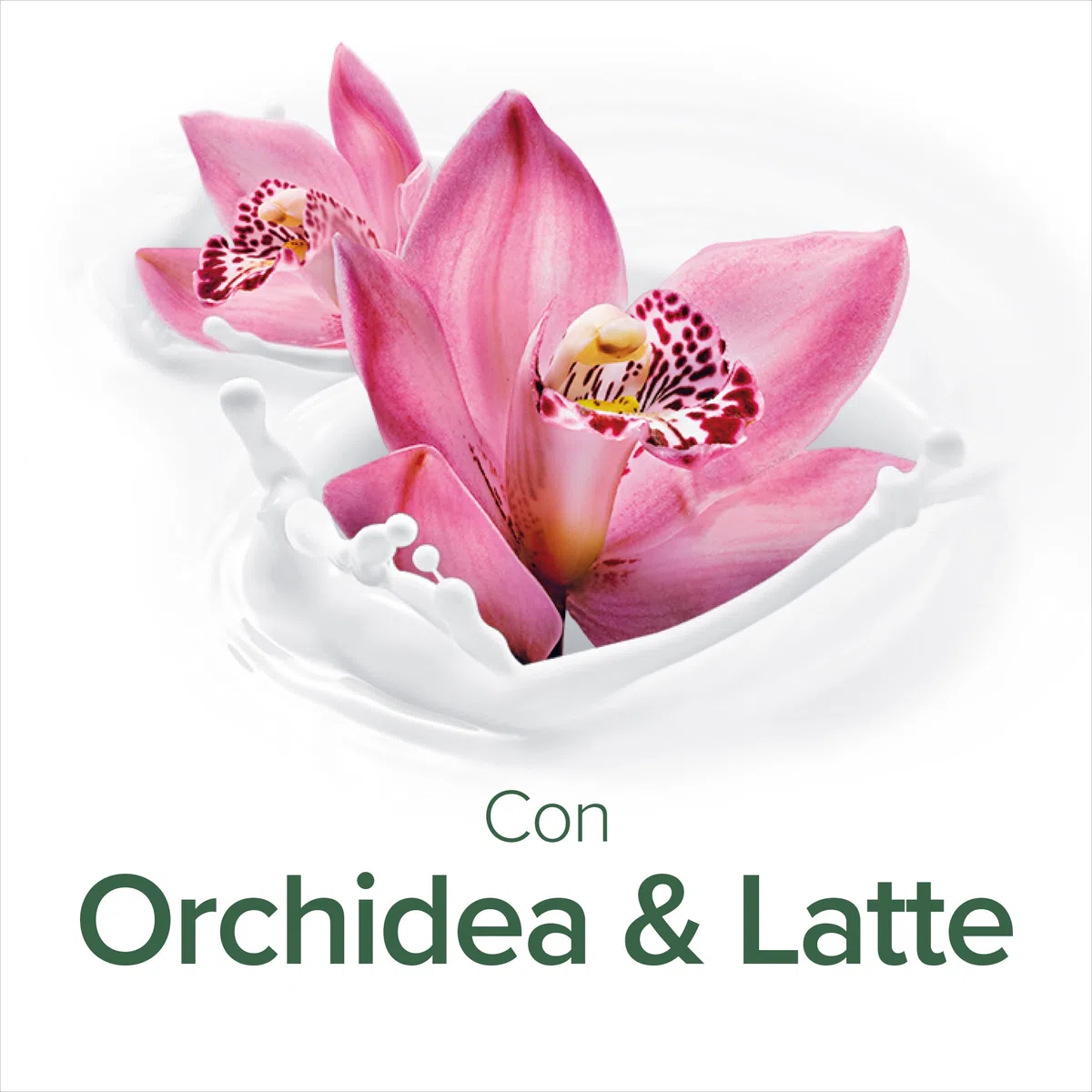Palmolive Bagnoschiuma Naturals Orchidea e Latte 500ml | Bagnodoccia con vitamina E | Lascia la pelle morbida | Con latte di mandorla di origine vegetale 6 x 500 ml