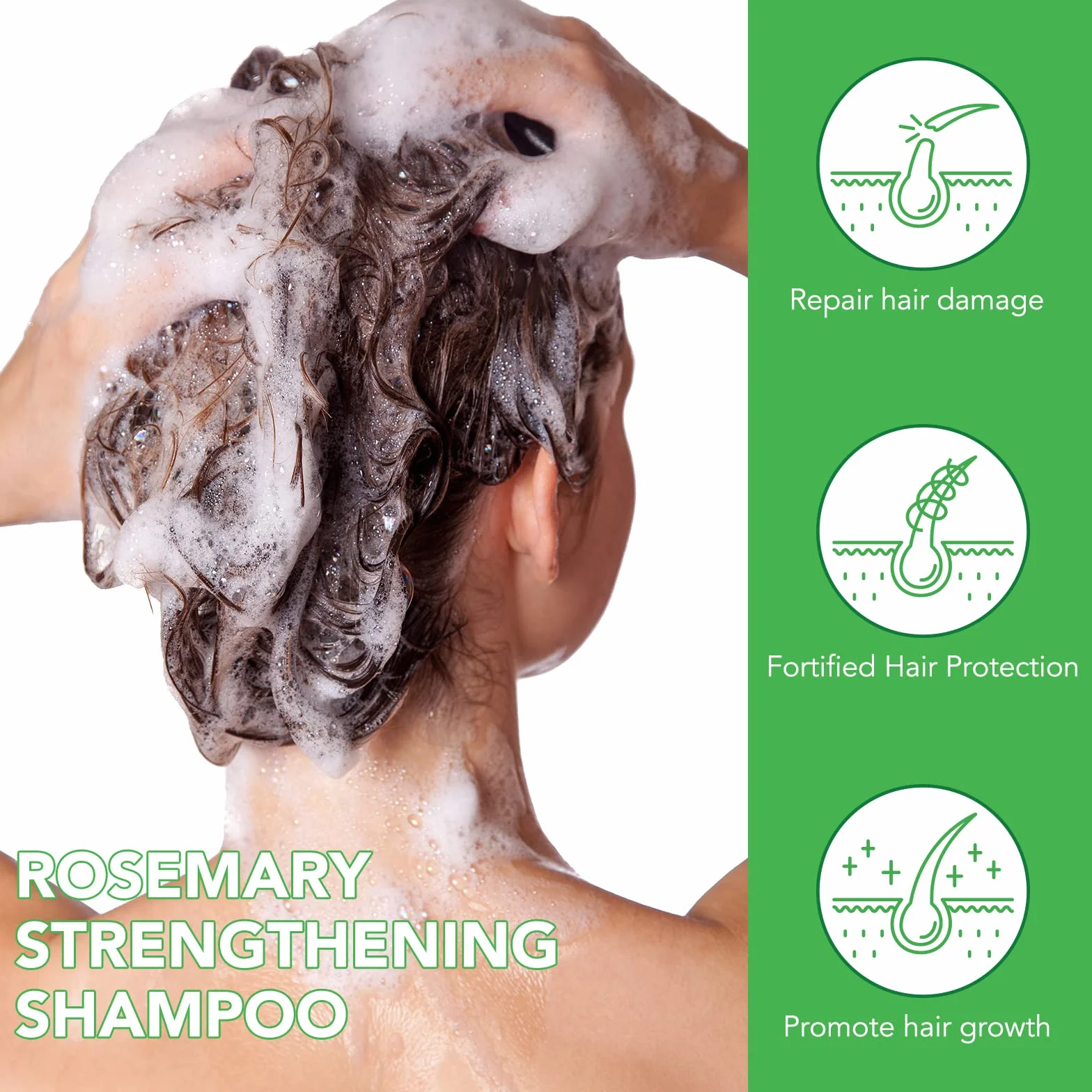 Shampoo Rinforzante alla Menta e Rosmarino per la Crescita dei Capelli - Vegano e Biologico Con Biotina Contro la Caduta - per Donne e Uomini, 300 ml