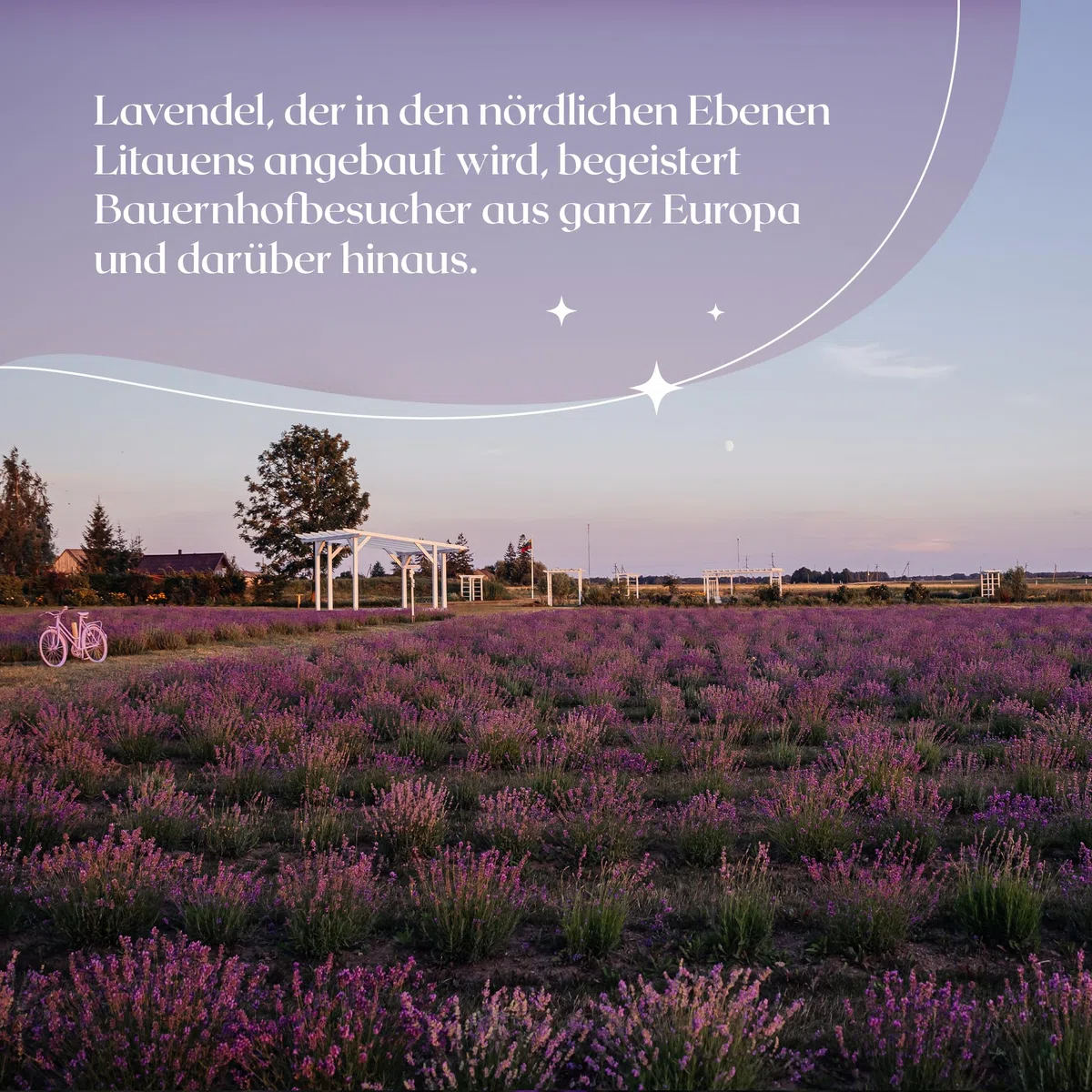 Idrolato Lavanda 100% Naturale per Viso e Bambini, Tonico Lenitivo Spray Biologico per Pelle Sensibile, Acqua Floreale Distillata 100ml - Levandu Ukis