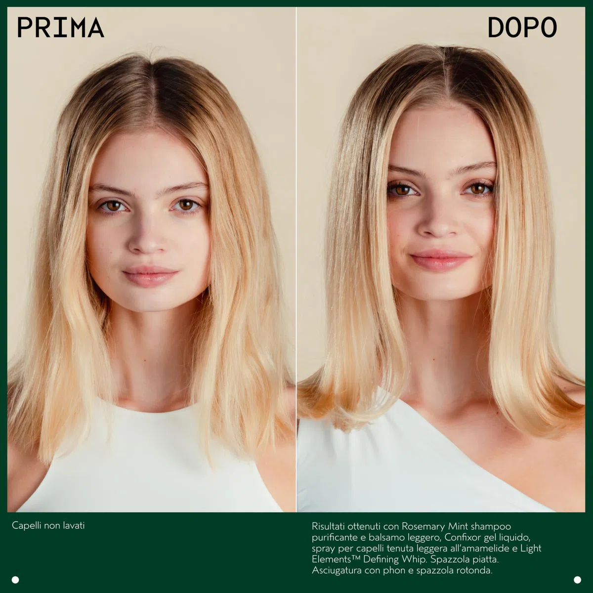 Aveda Rosemary Mint Shampoo Purificante - Shampoo detergente - Dona lucentezza - Per Capelli da Normali a Grassi e da Sottili a Medi