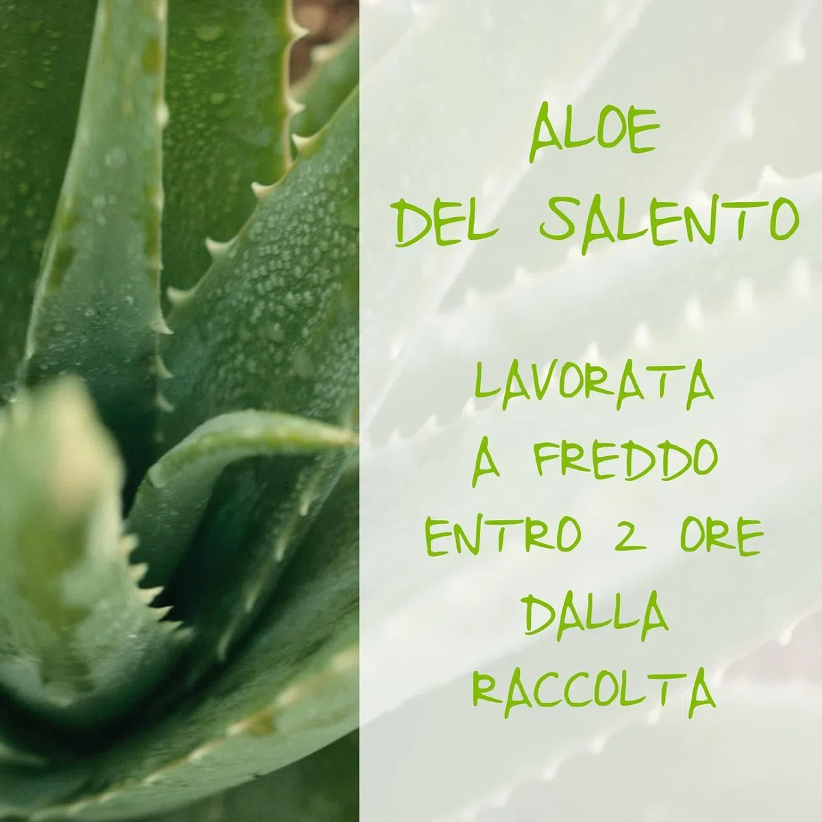 AMZ - OMIA BAGNO ALOE 400ML ETIC. INTERN. 4PZ
