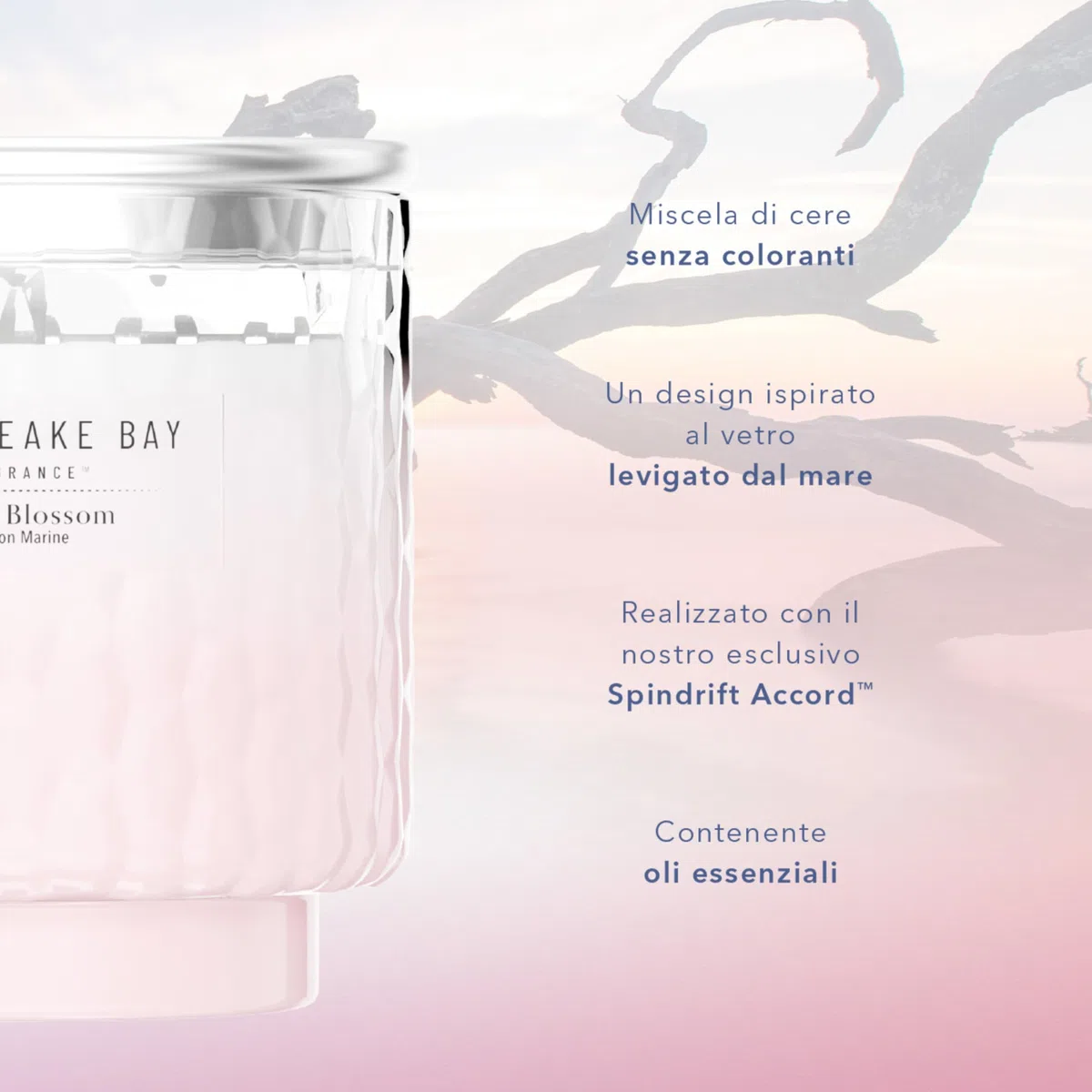 Chesapeake Bay | Diffusore a bastoncini | Ocean Blossom | Ottimo regalo per donne