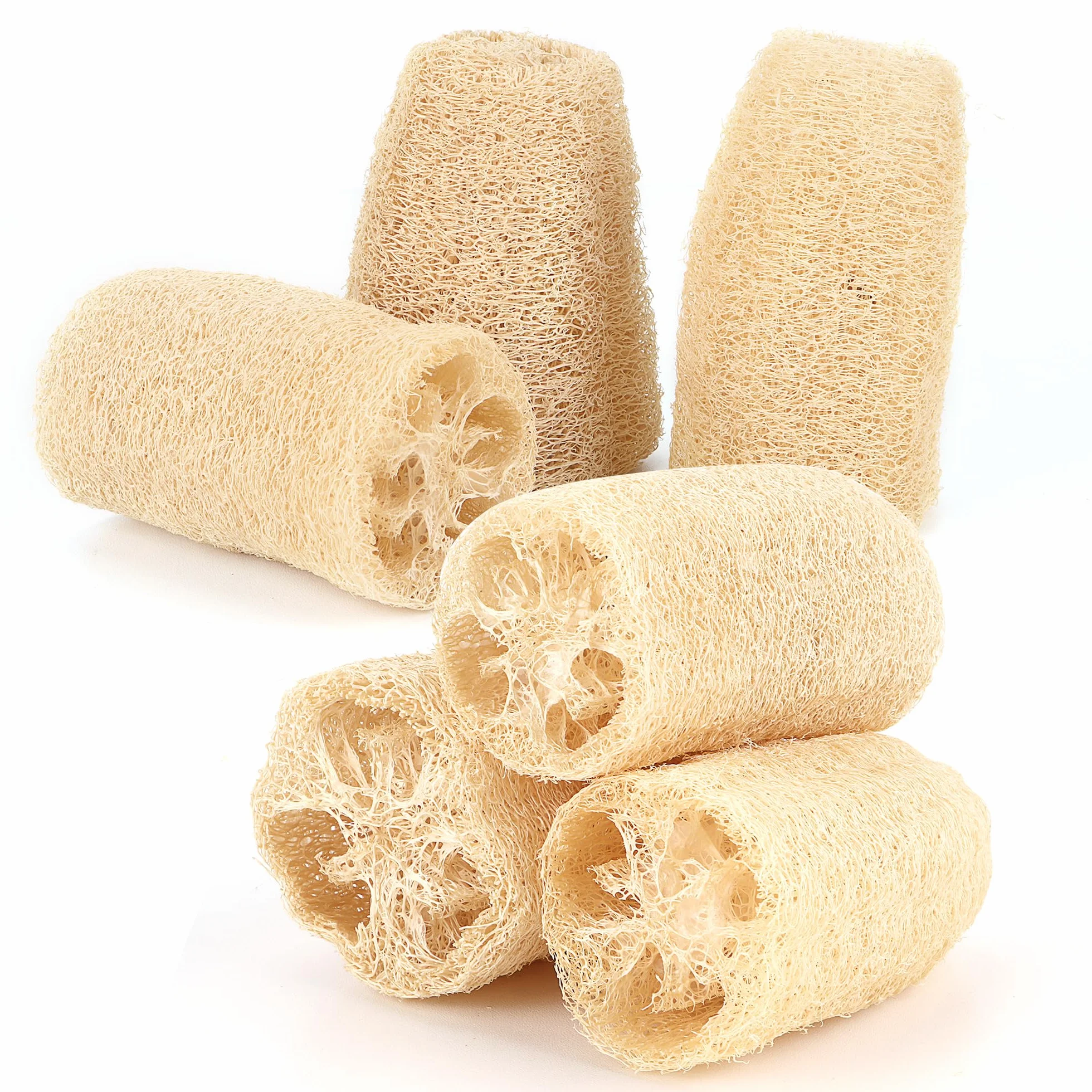 6 Pezzi Luffa Spugna, Luffa Naturale per la cura del corpo e la rimozione della pelle mort per Fare il Bagno, Lavare i Piatti, Pulire la Cucina