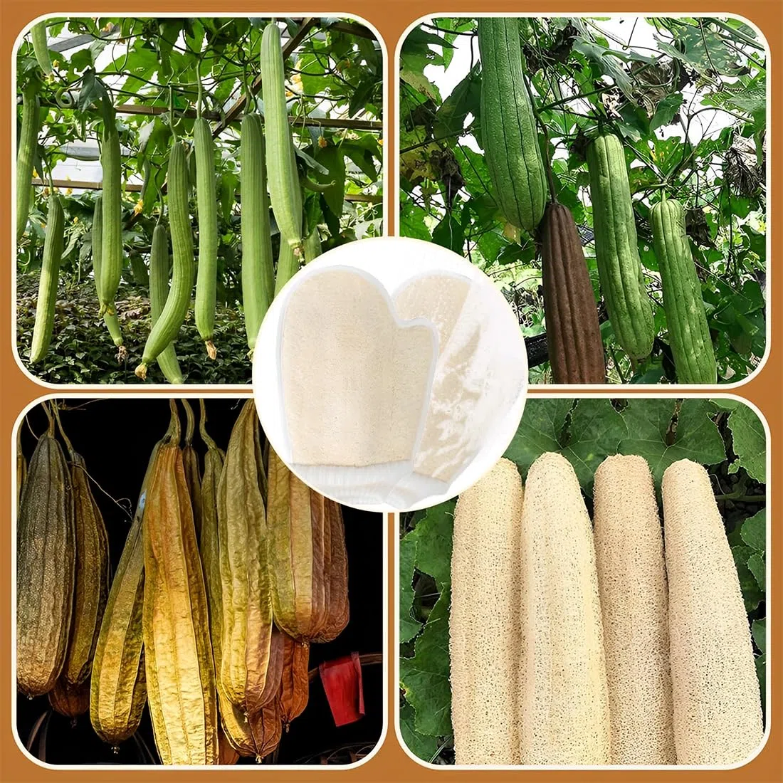 2 Pezzi Guanto Esfoliante Corpo, Spugne Doccia, Strumento per Il Corpo Esfoliante in Spugna di Luffa Naturale, Spugna Doccia Guanto per Donne e Uomini