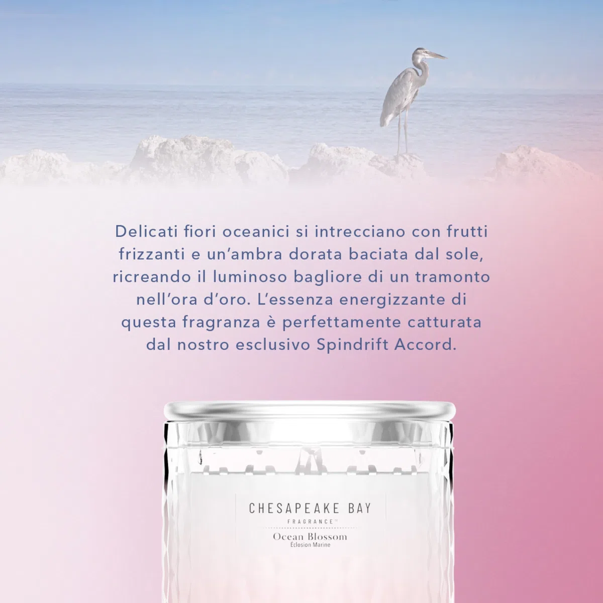 Chesapeake Bay | Diffusore a bastoncini | Ocean Blossom | Ottimo regalo per donne