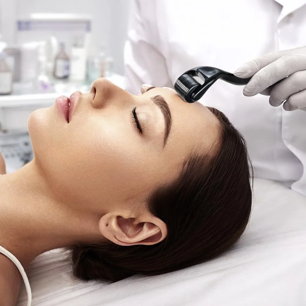 2 Pezzi Derma-roller Capelli Viso 0.5mm e 1.0mm Microneedling 540-Aghi Titanio Hair Micro-Ago Roller Derma Rullo Microneedle Uomo Donna Per Perdita Capelli Cicatrici Acne Smagliature