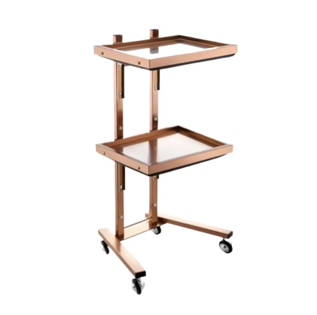 Carrello da Parrucchiere con Ruote, Design Pieghevole e Carrello per Bellezza in Acciaio Inossidabile, Colore Oro Rosa, a 2 Livelli, per Camera da Letto o Studio di Tatuaggi