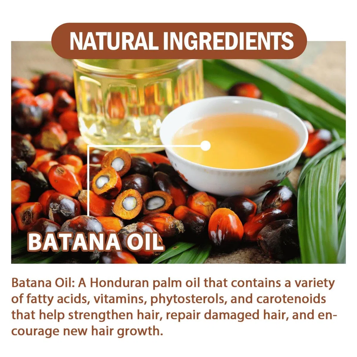 Batana Oil Hair Treatment, Batana Oil For Hair Growth, Batana Oil Organic, Conditioner Leave in Botanical Extracts & Vitamine, Batana Oil Conditioner Leave In Botanical Extracts & Vitamine 120ml (3PC)