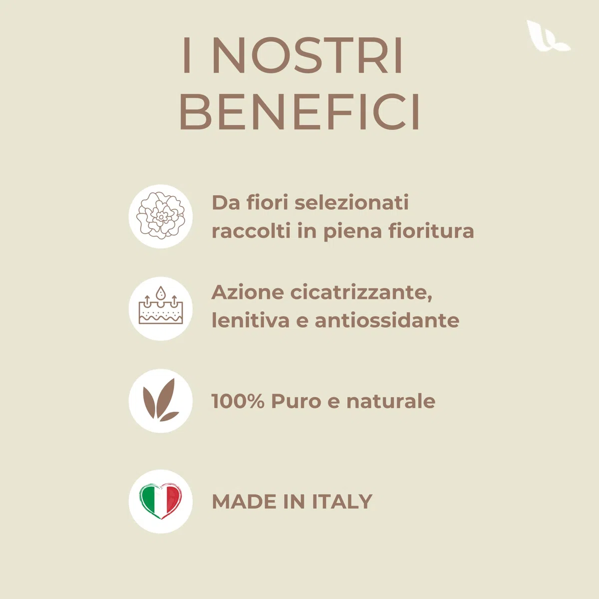 Leucosia Olio di Iperico Puro 100 ml, Oleolito Naturale Lenitivo e Rigenerante Olio Iperico per Cicatrici, Scottature, Pelle Secca, Massaggi Muscolari e Antirughe Viso