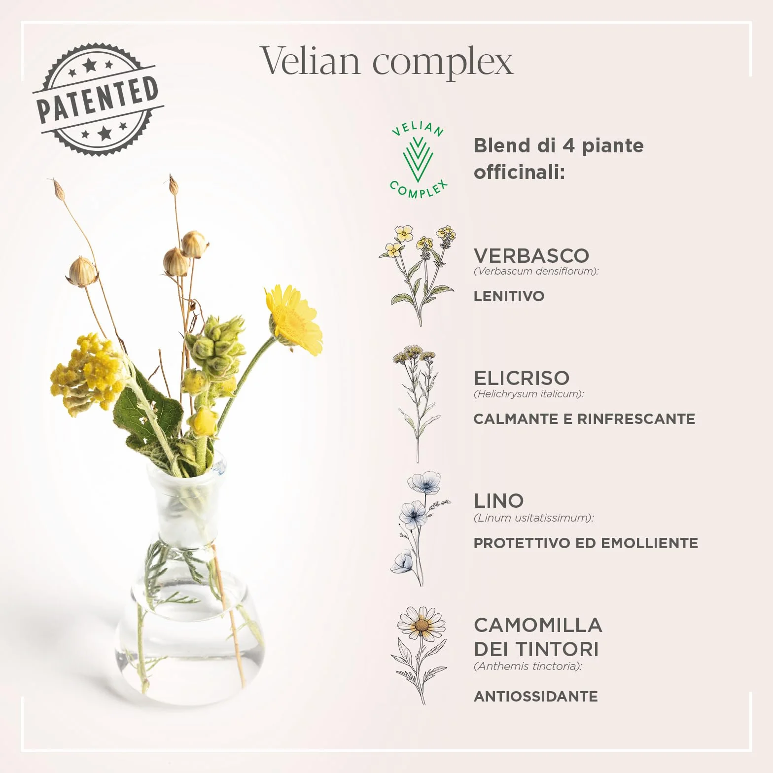 Actyva - Volume e Corposità Dry Volume Spray, Volumizzante e Texturizzante per Capelli - 200 ml