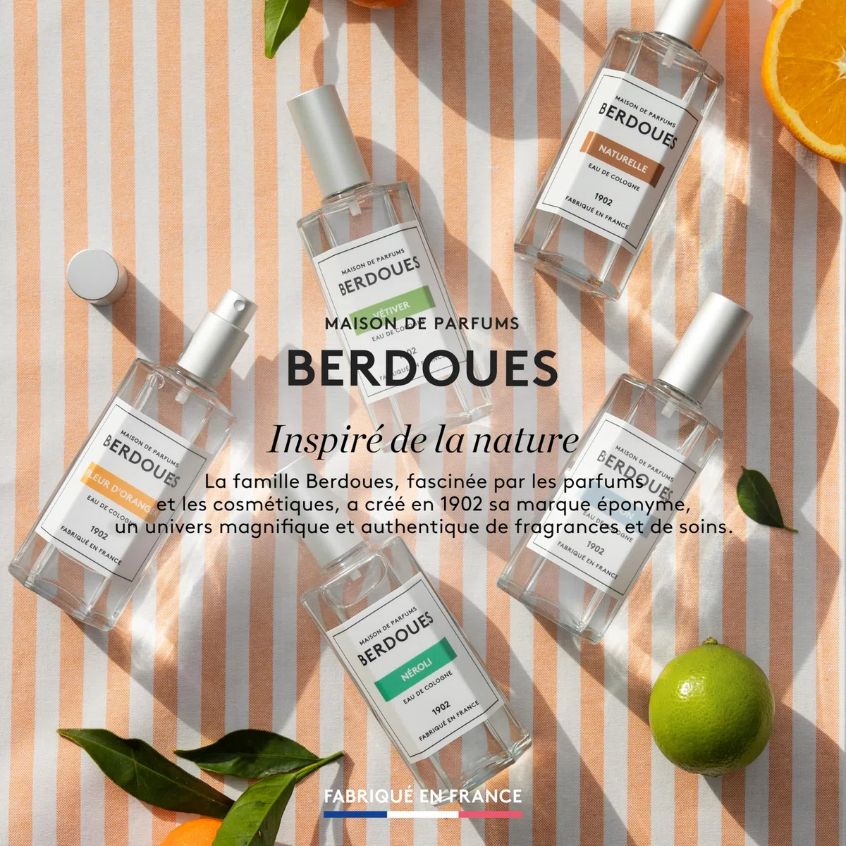 BERDOUES 1902 Eau de Colonia Vetiver, Fresca e Aromatica Made in France, Profumo Donna e Uomo, Verbena, Rosmarino, Vetiver, Ricarica 245ml