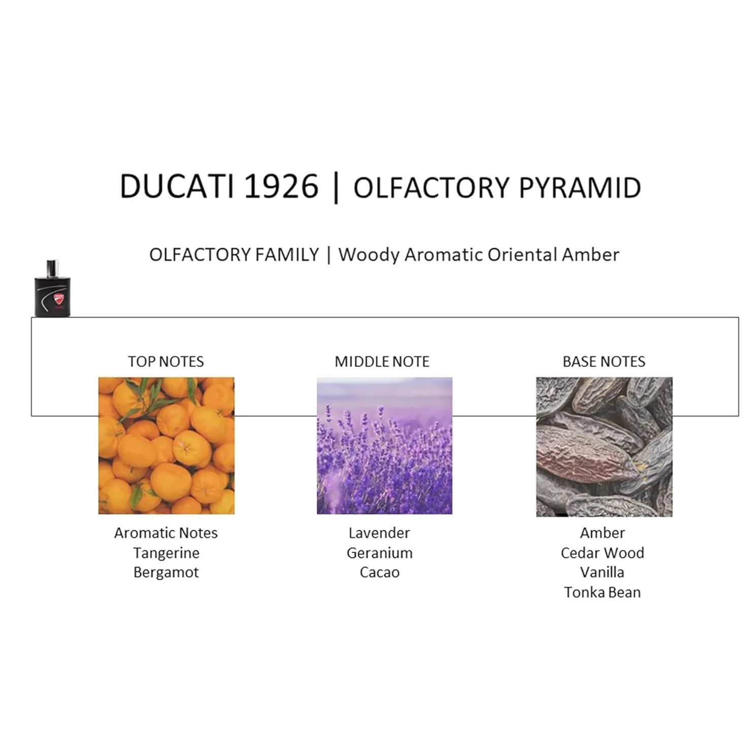 Diamond DUCATI | Confezione Regalo Uomo, Profumo 100 ml & Beauty Case